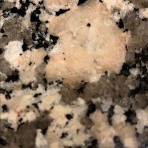 Meet your Posher, Paulette